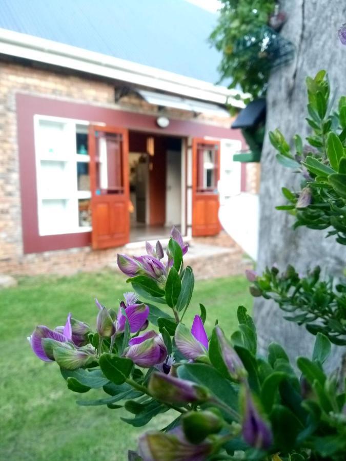 Festina Lente In Onrus Ferienhaus