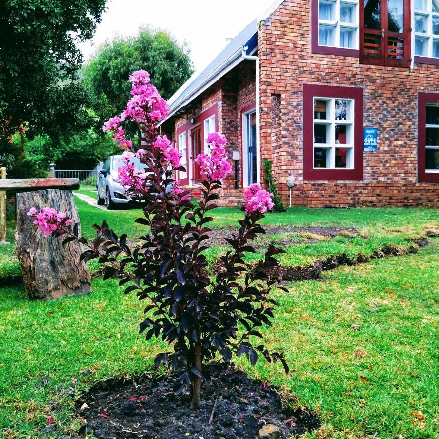 Festina Lente In Onrus Ferienhaus